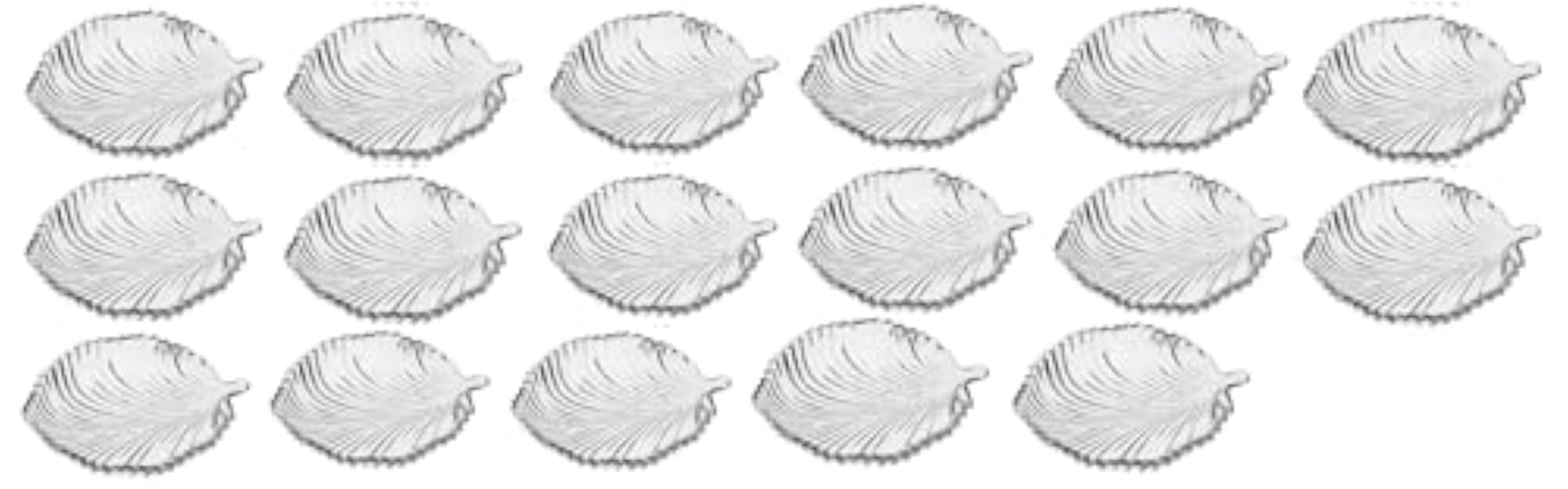 Stylish Transparent Plate for Dinner, Lunch, Snacks